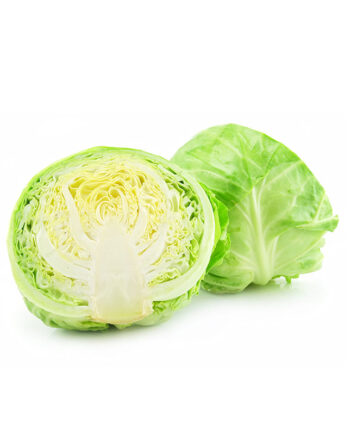 Fresh Cabbage