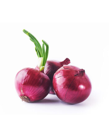 Fresh Red Onion