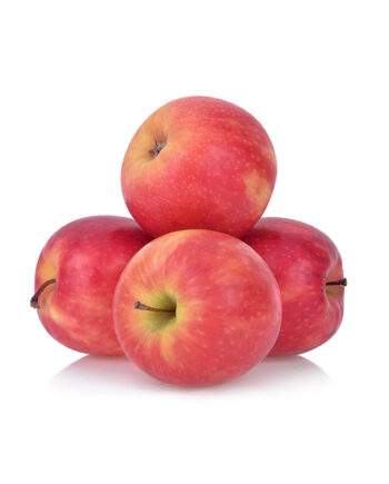 Gala Apple (Sib)