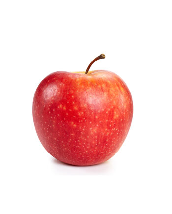 Honey Crisp Apple (Sib)