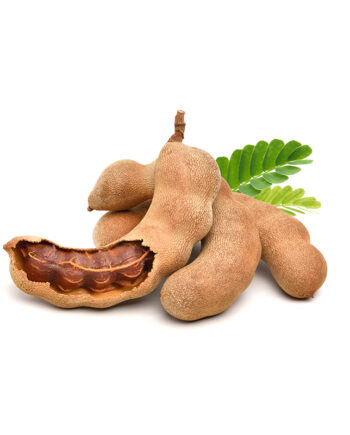 Fresh Tamarind