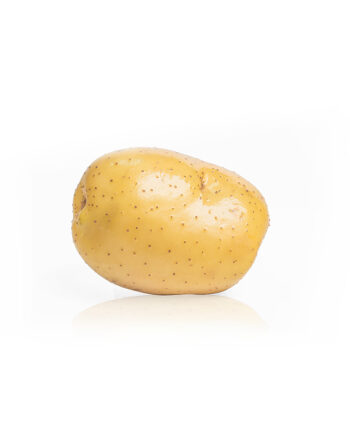Yekta White Potato (Sib Zamini)