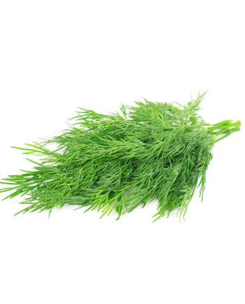 Fresh dill (Shevid)