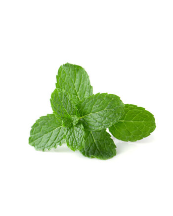 Yekta Persian Market Fresh Mint (Nanaa)