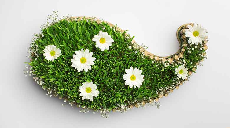 Nowruz Persian New Year Article by Yekta Market - Sabze (green) in a fish shape for Sizdah Bedar