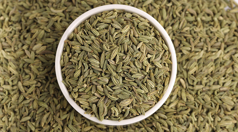 Yekta Persian market - Persian Spices Article - Fennel Seeds (Razianeh)