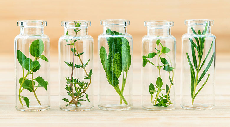 Yekta Herbal Water Article - Licorice Water (Araghiat Giahi)