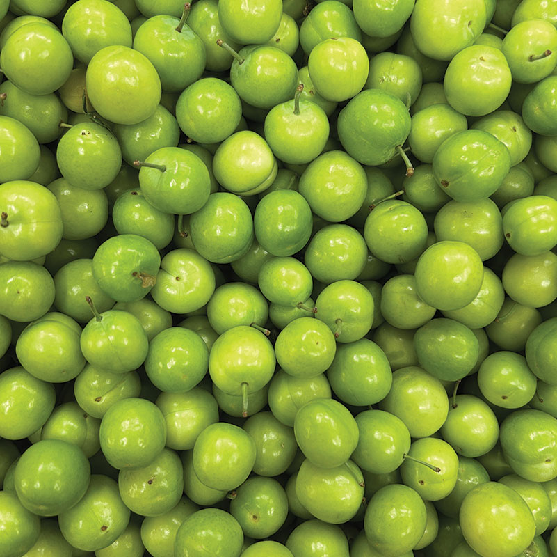 Fresh Green Plum (Gojeh Sabz) 1 LB